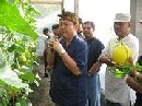 M-CAP KUNJUNGI PETANI MELON